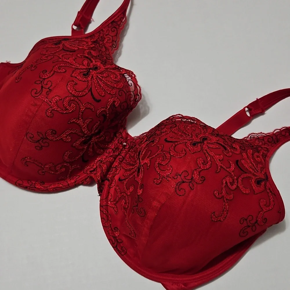 Playtex Red Lace Underwire Full Coverage Padded Bra Size 38DD - Picture 3 of 12